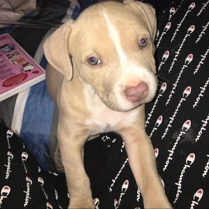 Meet your Posher, Victoria